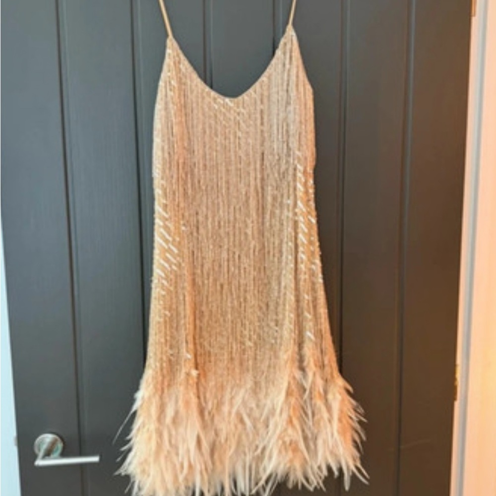 NADINE MERABI LOTTIE Champagne Mini Dress sequins feather - Picture 3 of 10